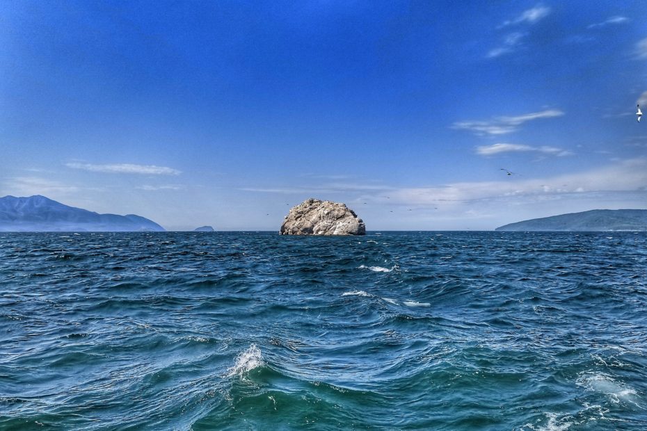 Tiny island looking like a rock sticking out of the water in Chivirkuisky bay of Lake Baikal. Seagulls and cormorants flying around.
